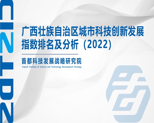 几把搞逼【成果发布】广西壮族自治区城市科技创新发展指数排名及分析（2022）